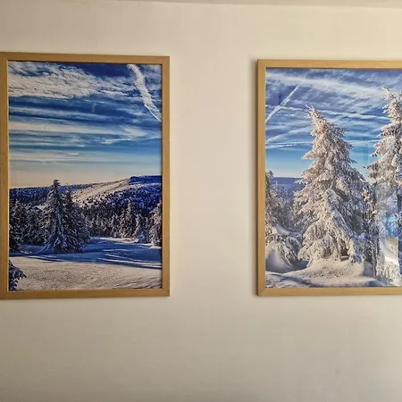 Jahorinski Konaci 公寓