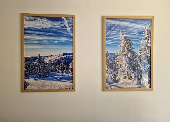 Jahorinski Konaci Apartment