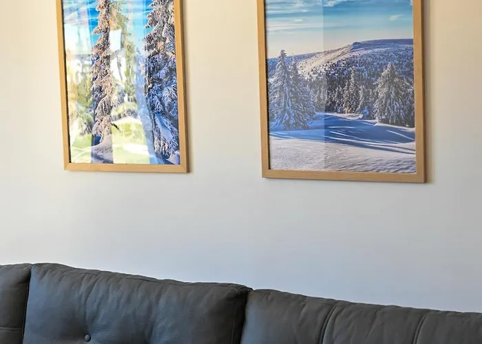 Apartment Jahorinski Konaci